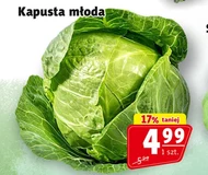 Kapusta młoda