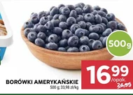 Borówki amerykańskie