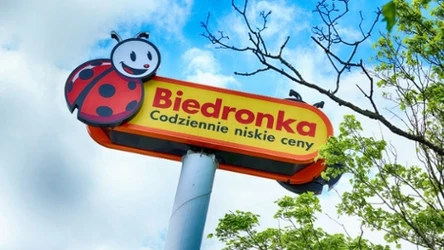 Zestawy Dafi w promocji w Biedronce. Taniej już się nie da!