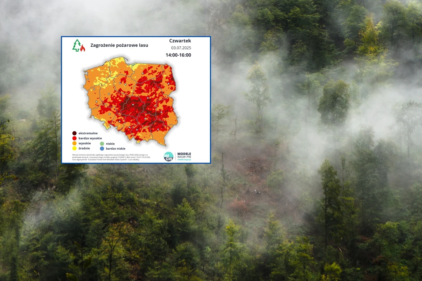 W czwartek w zdecydowanej większości kraju obowiązuje wysoki stopień zagrożenia pożarowego w lasach. W wielu miejscach osiągnął najwyższy możliwy poziom. Zdjęcie ilustracyjne Mapa zagrożenia pożarowego lasów na tle mglistych, gęstych lasów z dominującymi tonami zieleni; mapa Polski wskazuje regiony o wysokim zagrożeniu pożarowym, przedstawione w intensywnych kolorach od żółtego do czerwonego.