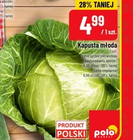 Kapusta młoda