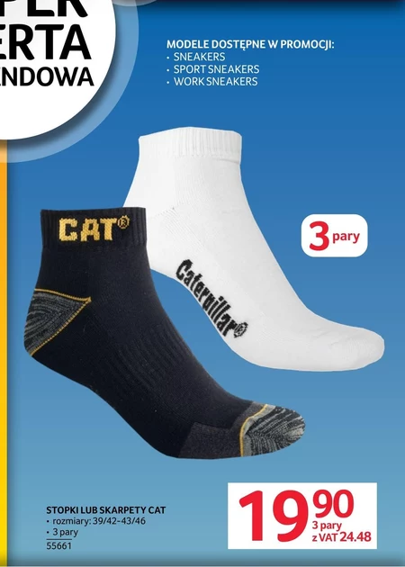 Ноги Cat