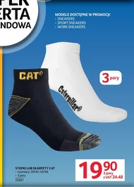 Ноги Cat