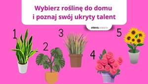Psychotest: Jaki jest twój ukryty talent? Dobrze go wykorzystaj