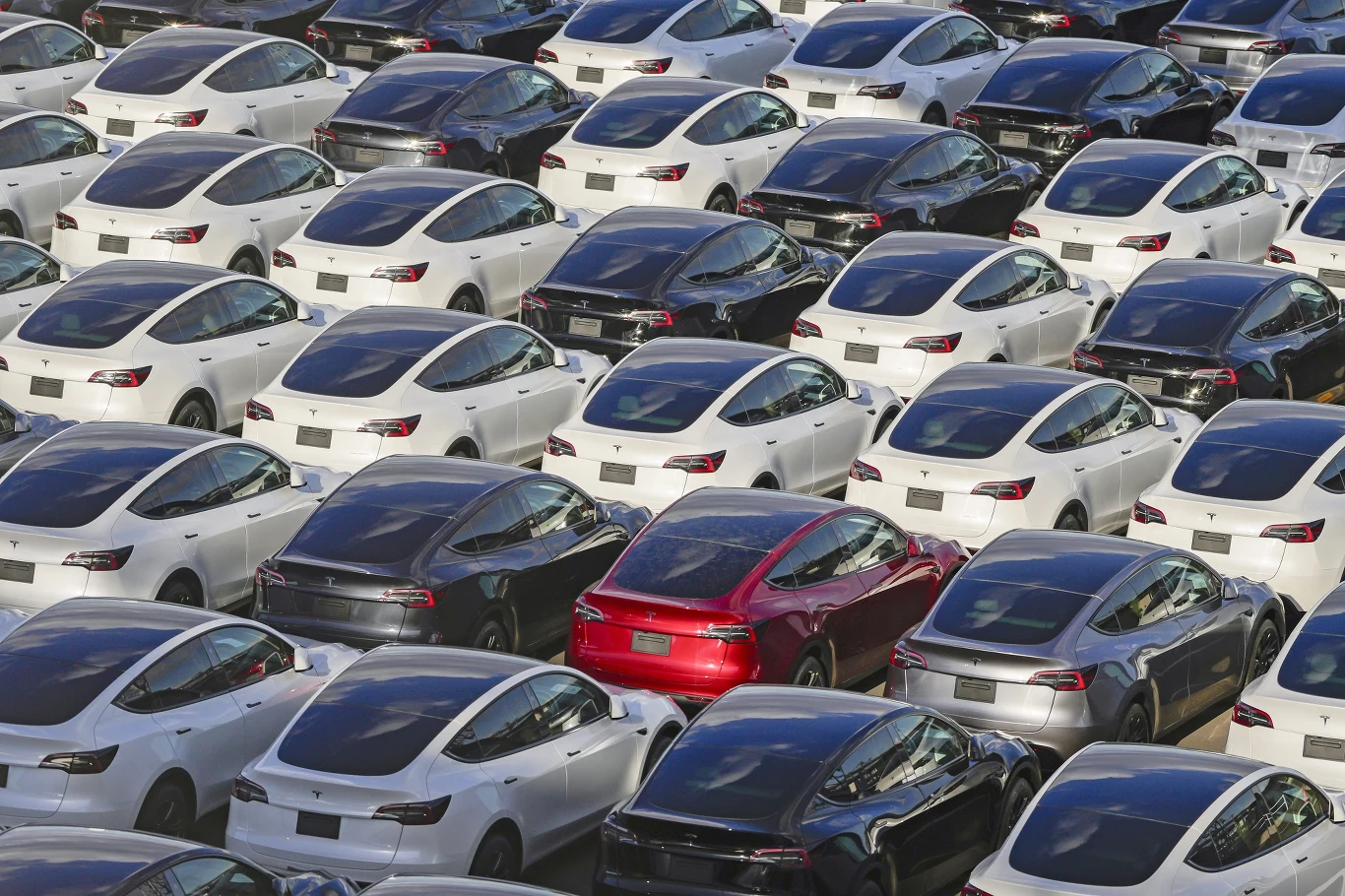 USA kończy z dopłatami do samochodów elektrycznych Rzędy nowych samochodów elektrycznych, w większości białych i czarnych, zaparkowanych na dużym parkingu, z jednym wyróżniającym się czerwonym pojazdem pośród nich.