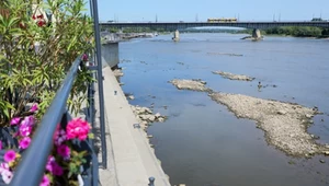 Krytycznie niski poziom wody w Wiśle. Niżówka hydrologiczna w wielu rzekach