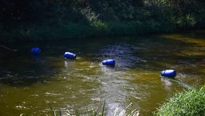 Wodny alert dla mieszkańców Śląska. Zakaz korzystania z wód Kłodnicy
