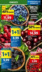 Codziennie świeże dostawy! - Lidl
