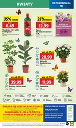 Codziennie świeże dostawy! - Lidl