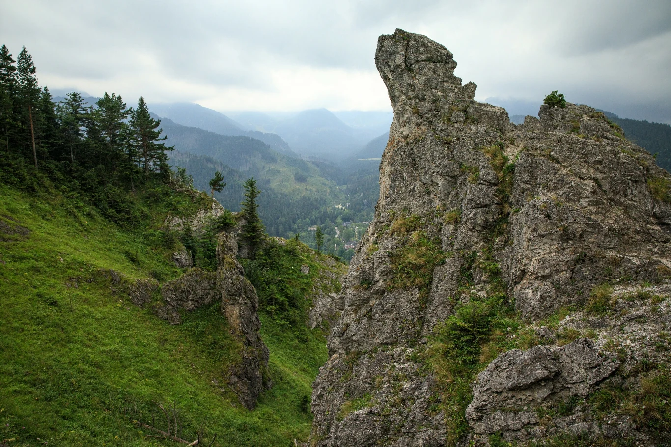Szlak na Nosal