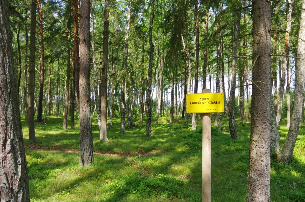 Zagrożenie pożarowe w Polsce. Są alerty Rządowego Centrum Bezpieczeństwa Zagrożenie pożarowe w Polsce. Są alerty Rządowego Centrum Bezpieczeństwa