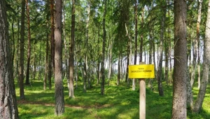 Alerty RCB dla czterech regionów. "Zachowaj szczególną ostrożność"
