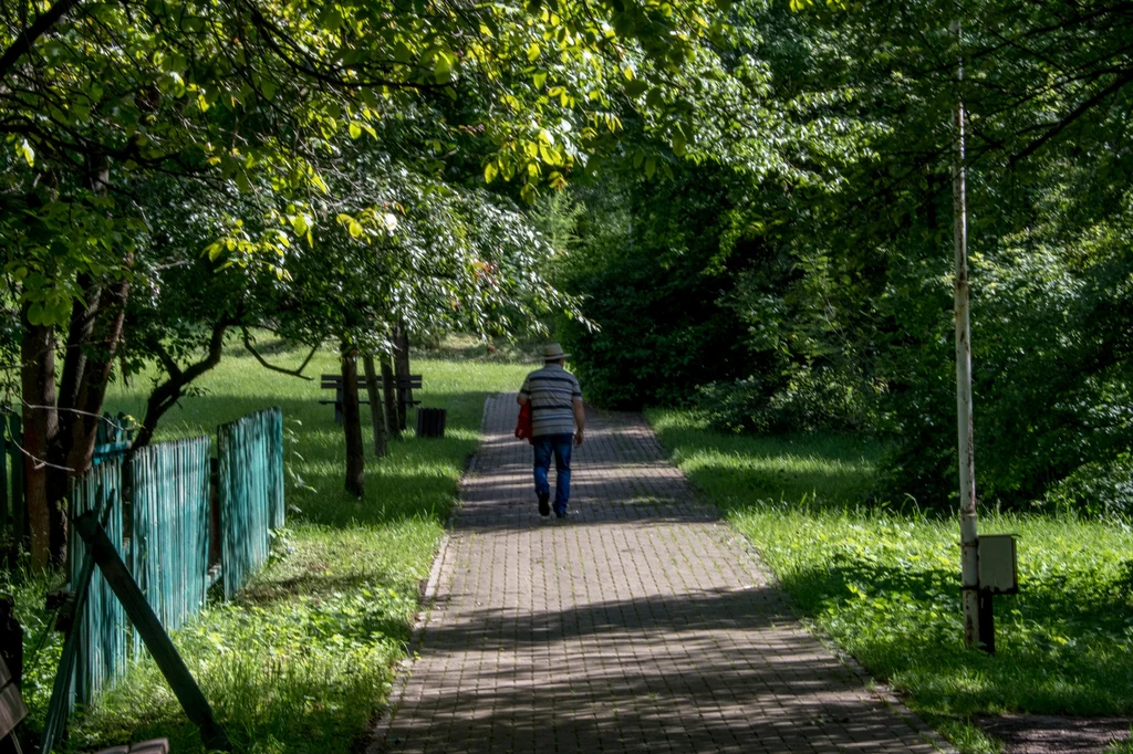 Latem komary stają się szczególnie uciążliwe Latem komary stają się szczególnie uciążliwe
