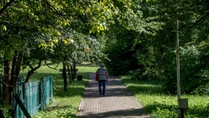 Latem komary stają się szczególnie uciążliwe