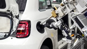Nowy Fiat będzie hitem w Polsce? Niska cena i oszczędny silnik 