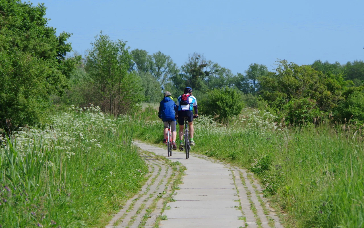 Przez Podlasie prowadzi najdłużśzy odcinek Szlaku Rowerowego Green Velo. Oferuje malownicze widoki i ciekawe atrakcje. Przez Podlasie prowadzi najdłużśzy odcinek Szlaku Rowerowego Green Velo. Oferuje malownicze widoki i ciekawe atrakcje.