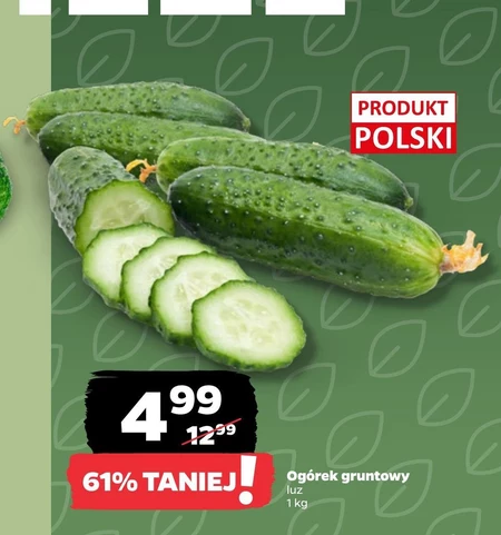Огірок Polski