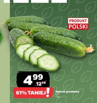 Огірок Polski