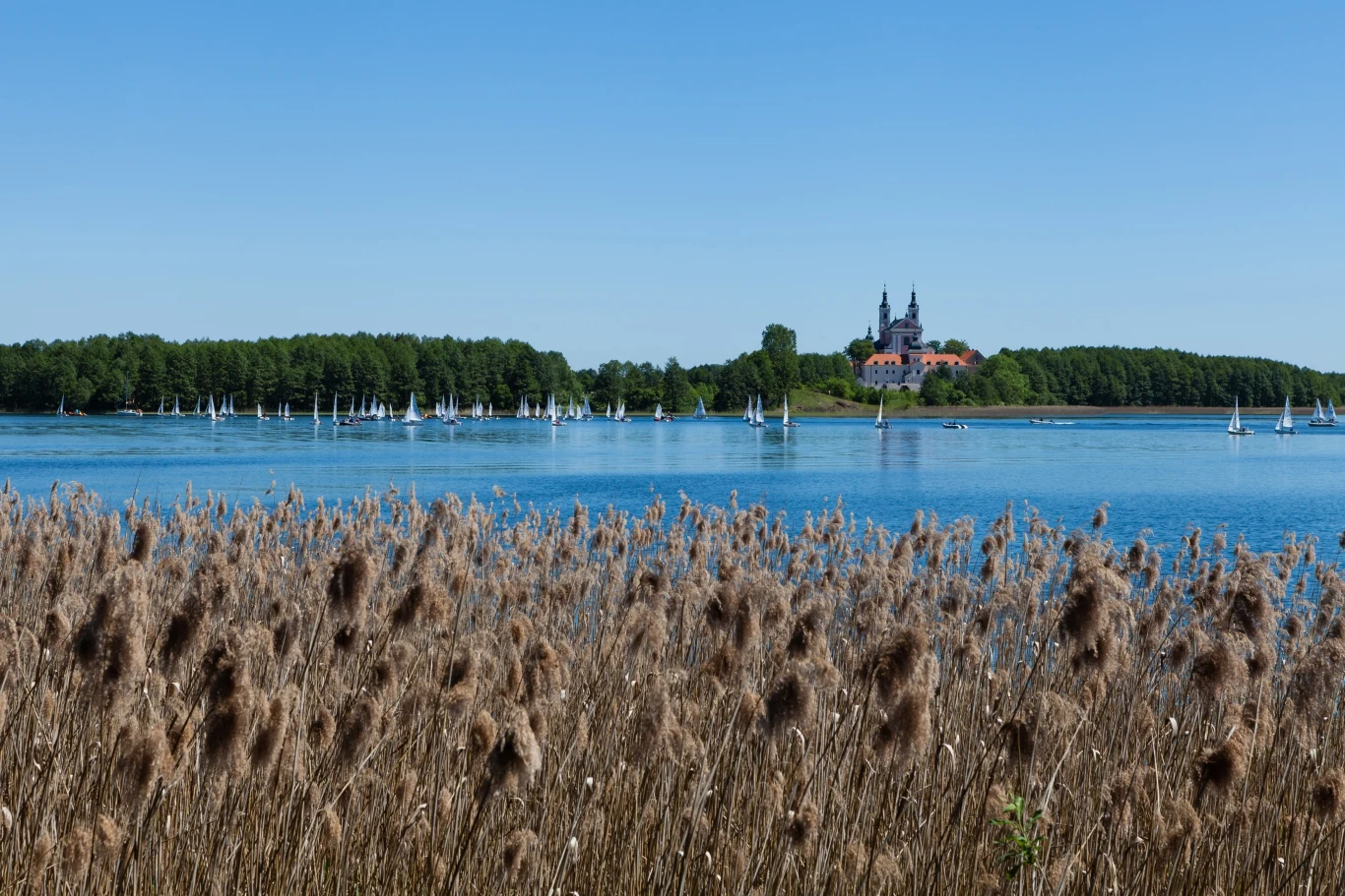 Klasztor Kamedułów nad Jeziorem Wigry to jedno z ciekawszych miejsc na podlaskim odcinku Szlaku Rowerowego Green Velo. Klasztor Kamedułów nad Jeziorem Wigry to jedno z ciekawszych miejsc na podlaskim odcinku Szlaku Rowerowego Green Velo.