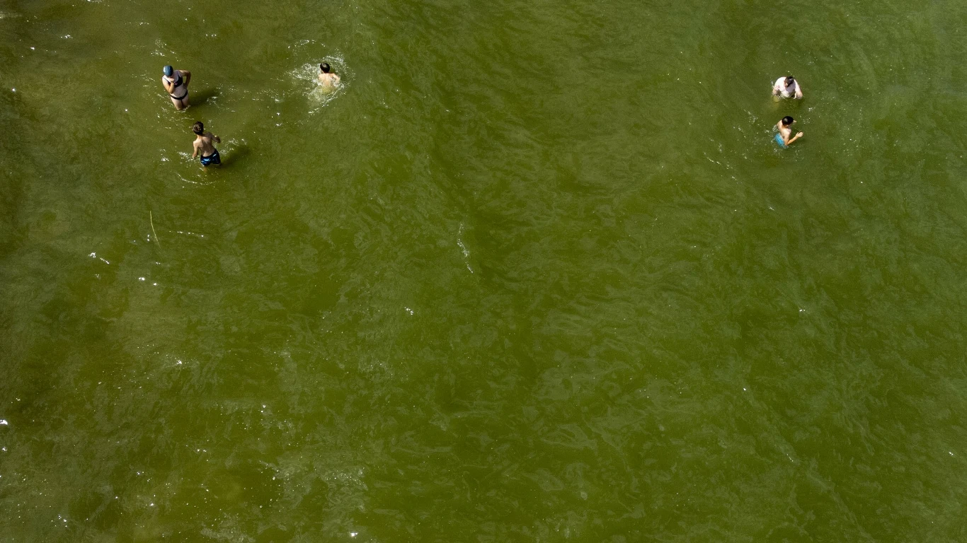 Mętna, zielona woda to ewidentny znak pogorszenia się jakości wody. Lepiej tam nie wchodzić, nawet jeśli jeszcze nie ma oficjalnego zakazu kąpieli Kilka osób kąpie się w naturalnym akwenie wodnym o zielonkawej barwie wody, rozproszonych w różnych miejscach kadru.