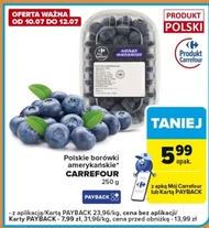 Borówki amerykańskie Carrefour