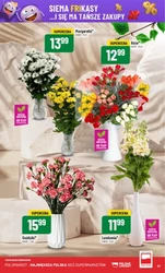 Codziennie dowozimy świeżość! - Polomarket