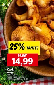 Kurki