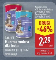 Mokra karma dla kota Cachet