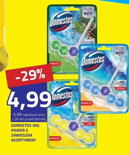 Підвіска для туалету Domestos