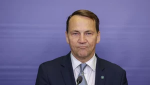 Sikorski o przywróceniu kontroli granicznych. "Musieliśmy zareagować"