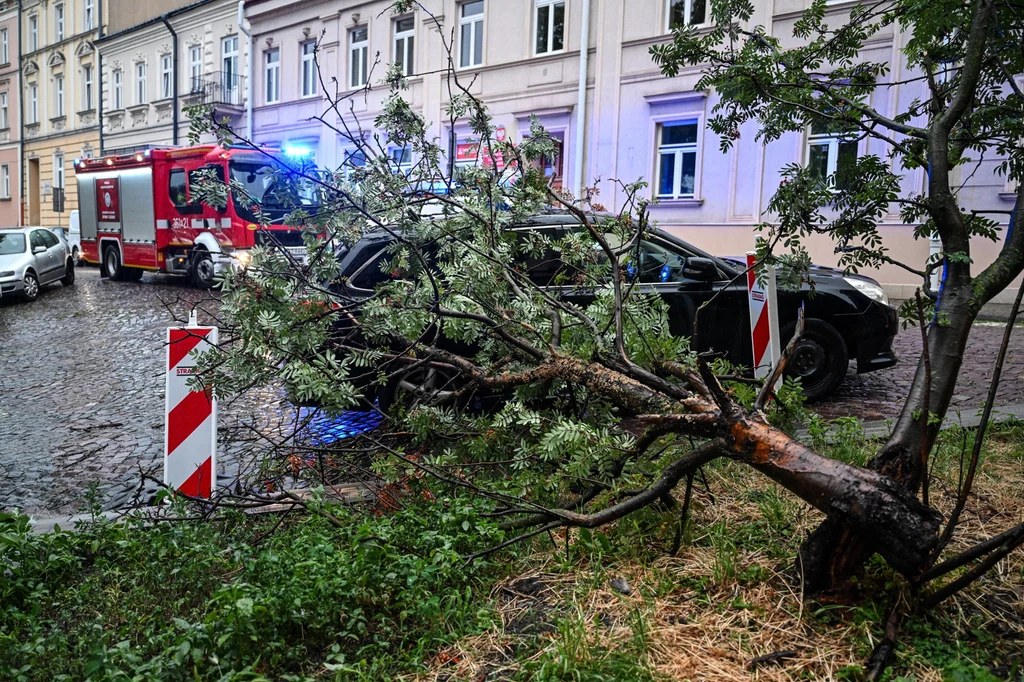 Burze nad Polską. Liczne interwencje strażaków, usuwano skutki nawałnic Burze nad Polską. Liczne interwencje strażaków, usuwano skutki nawałnic