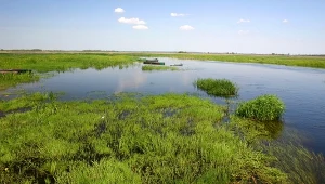Nazywają go polską Amazonią. Natura, pływające kładki, szlaki rowerowe i wodniczki