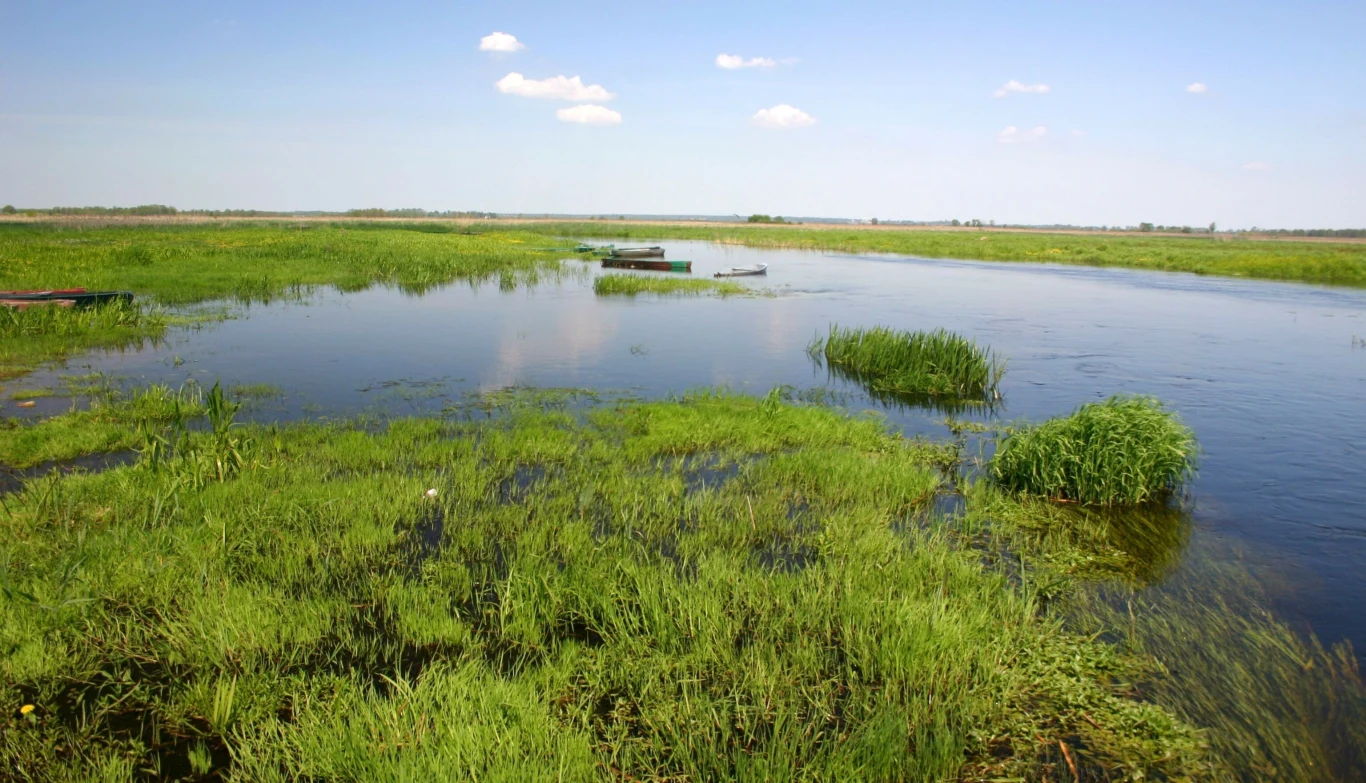 Narwiański Park Narodowy nie bez powodu określany jest "polską Amazonią". Co wiadomo na jego temat?