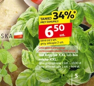 М'ята Bio