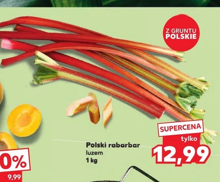 Ревінь Polski