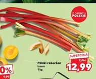Ревінь Polski