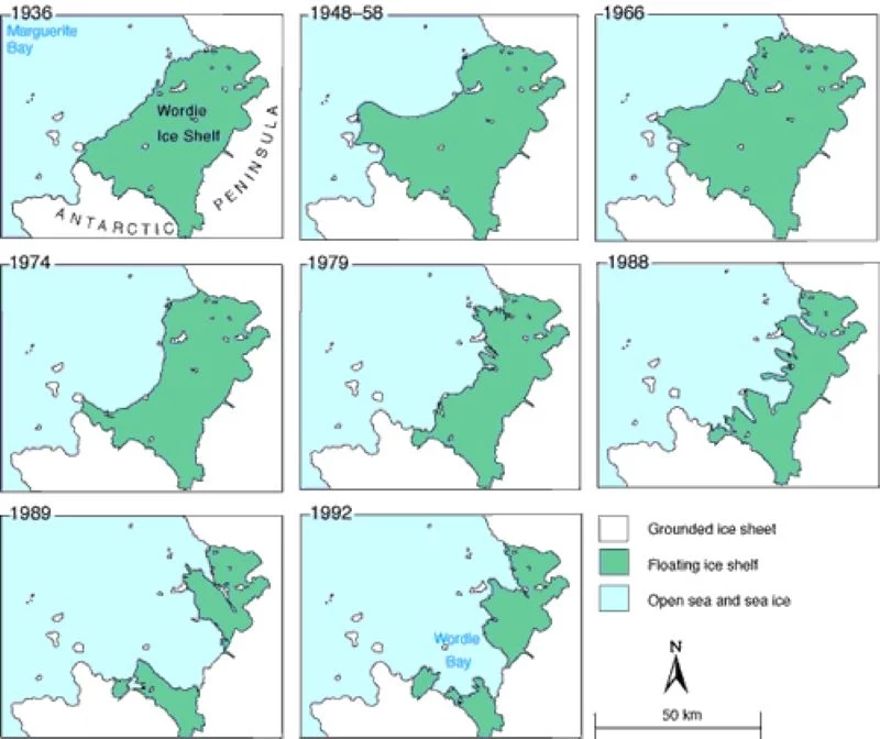 Diagram pokazuje, jak lodowiec szelfowy rozpadał się w wyniku podmywania przez ciepłe wody. Seria map ilustrujących stopniowy zanik szelfu lodowego Wordie w rejonie Półwyspu Antarktycznego w latach 1936–1992; obszary lądolodu, półki lodowej oraz otwartego morza i lodu morskiego oznaczone różnymi kolorami, strzałka kierunku północnego oraz pod...
