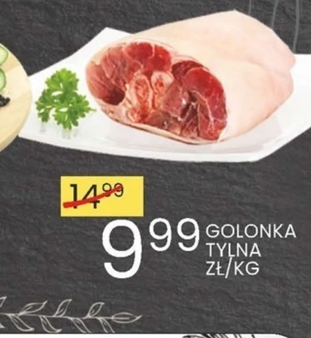 Golonka E