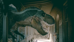Żyliśmy z dinozaurami, Słońce okrąża Ziemię - wierzy w to mnóstwo ludzi