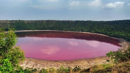 Jezioro Lonar w Buldhanie zmienia kolor na różowy. Powstało ok. 50 tys. lat temu w wyniku uderzenia meteorytu 