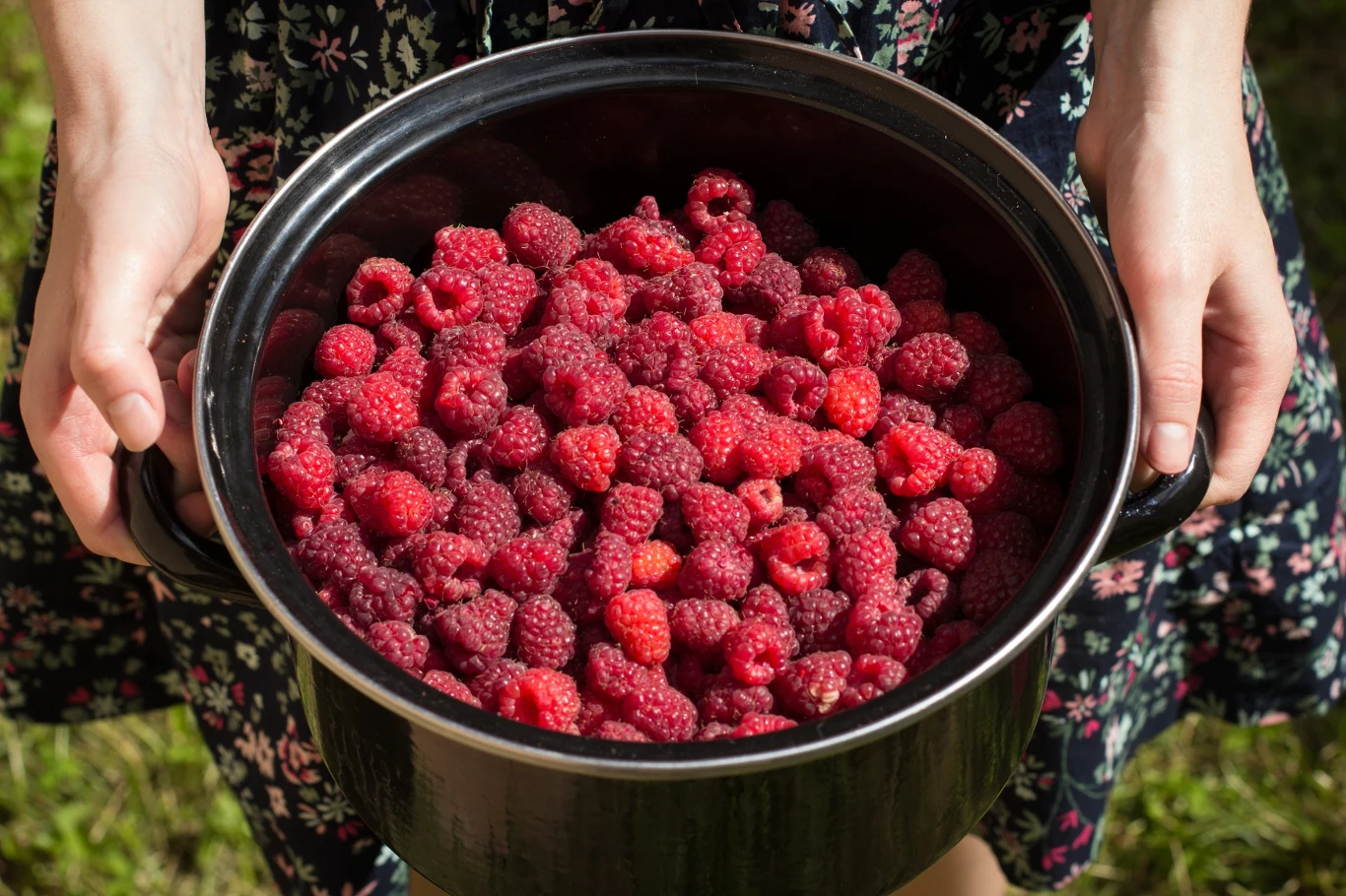 Maliny to delikatne owoce sezonowe. Czy należy je myć przed zjedzeniem?