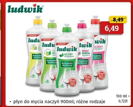 Płyn do naczyń Ludwik