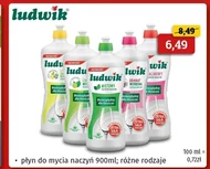 Засіб для миття посуду Ludwik
