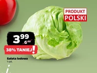 Sałata lodowa Polski
