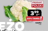 Kalafior Polski