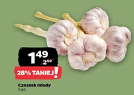 Czosnek