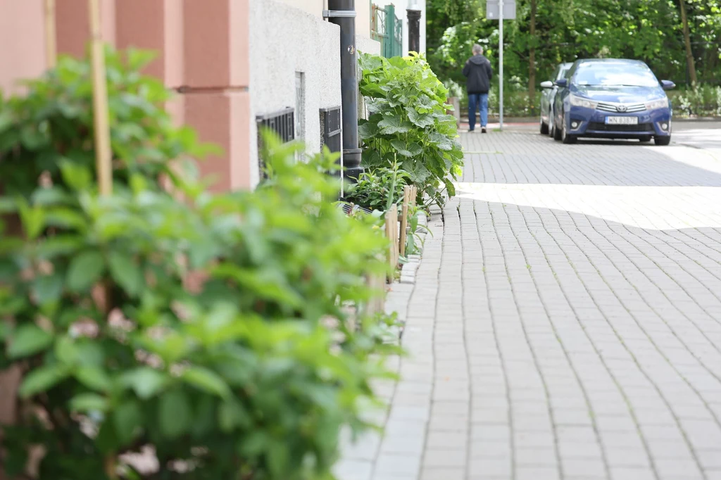 Z pewnością dodatkowym plusem będą miejsca parkingowe