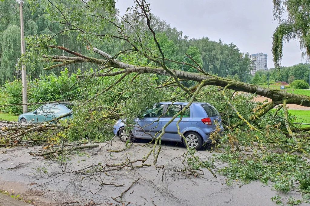 Niebezpieczne zjawiska pogodowe mogą być powodem szkód samochodowych. Niebezpieczne zjawiska pogodowe mogą być powodem szkód samochodowych.