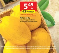 Melon