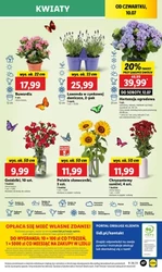 Lidl - Скануєш - заробляєш